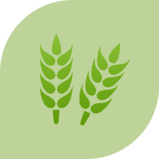 agriculture-industry-icon